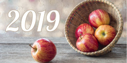 Яблучний бізнес України-2019